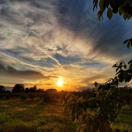 La Fattoria Del Soul Hotel Bosco Marengo ภายนอก รูปภาพ
