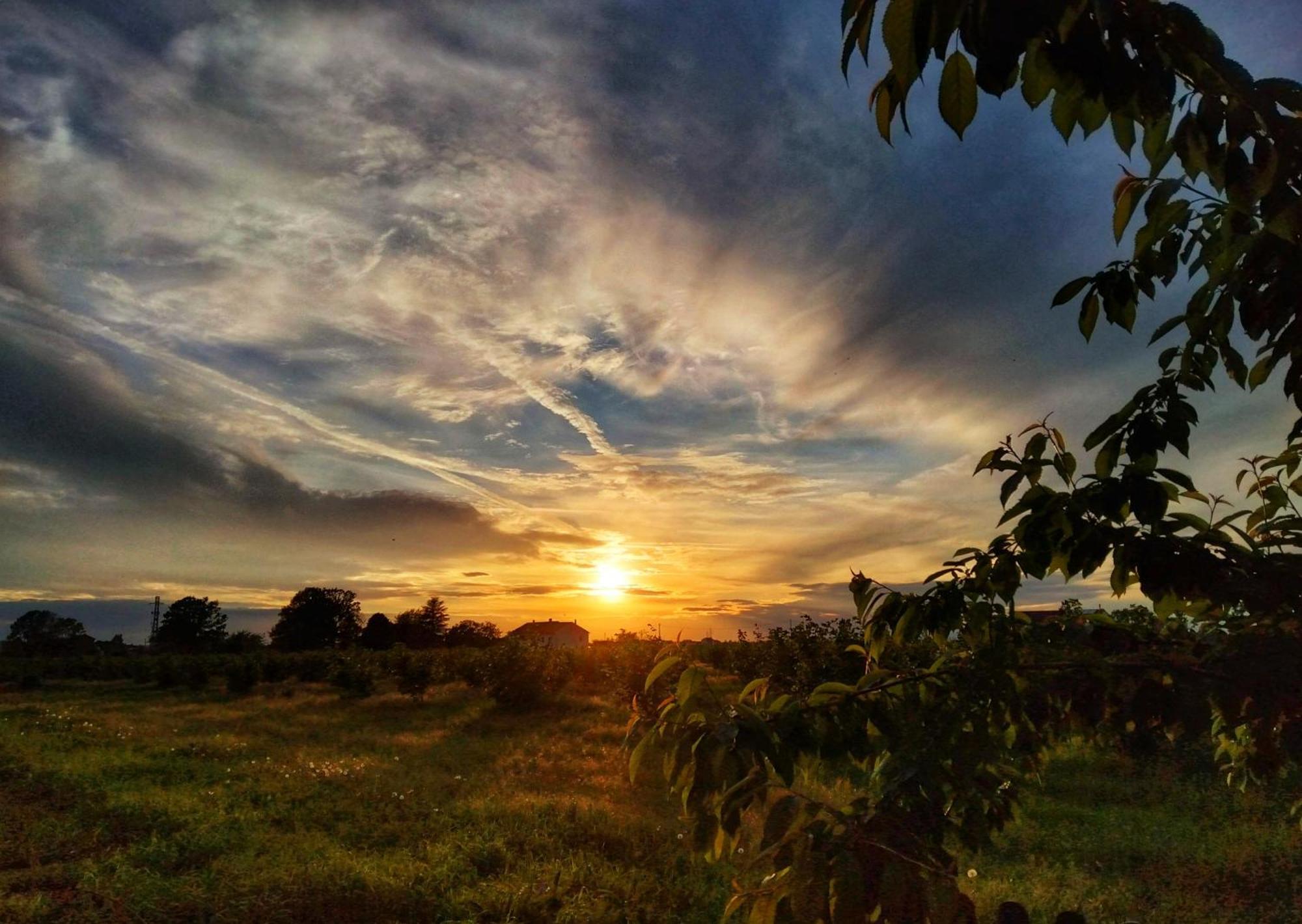 La Fattoria Del Soul Hotel Bosco Marengo ภายนอก รูปภาพ